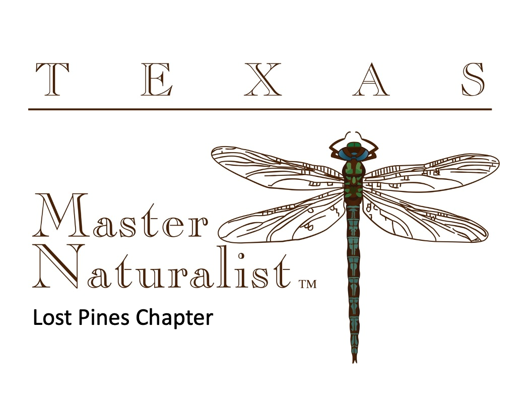 Master Naturalists